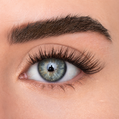 Evi Cosmetics CHELSEA light volume DIY press-on lashes ONE SIZE BOX
